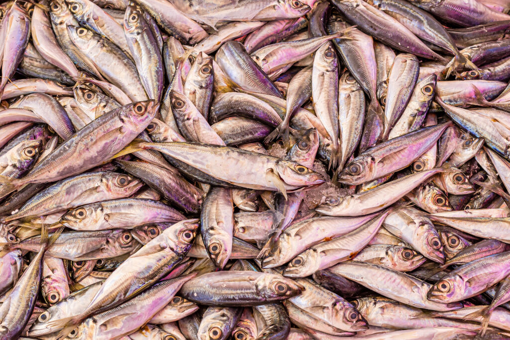 świeże ryby na rynku w Manavgat / Turcja